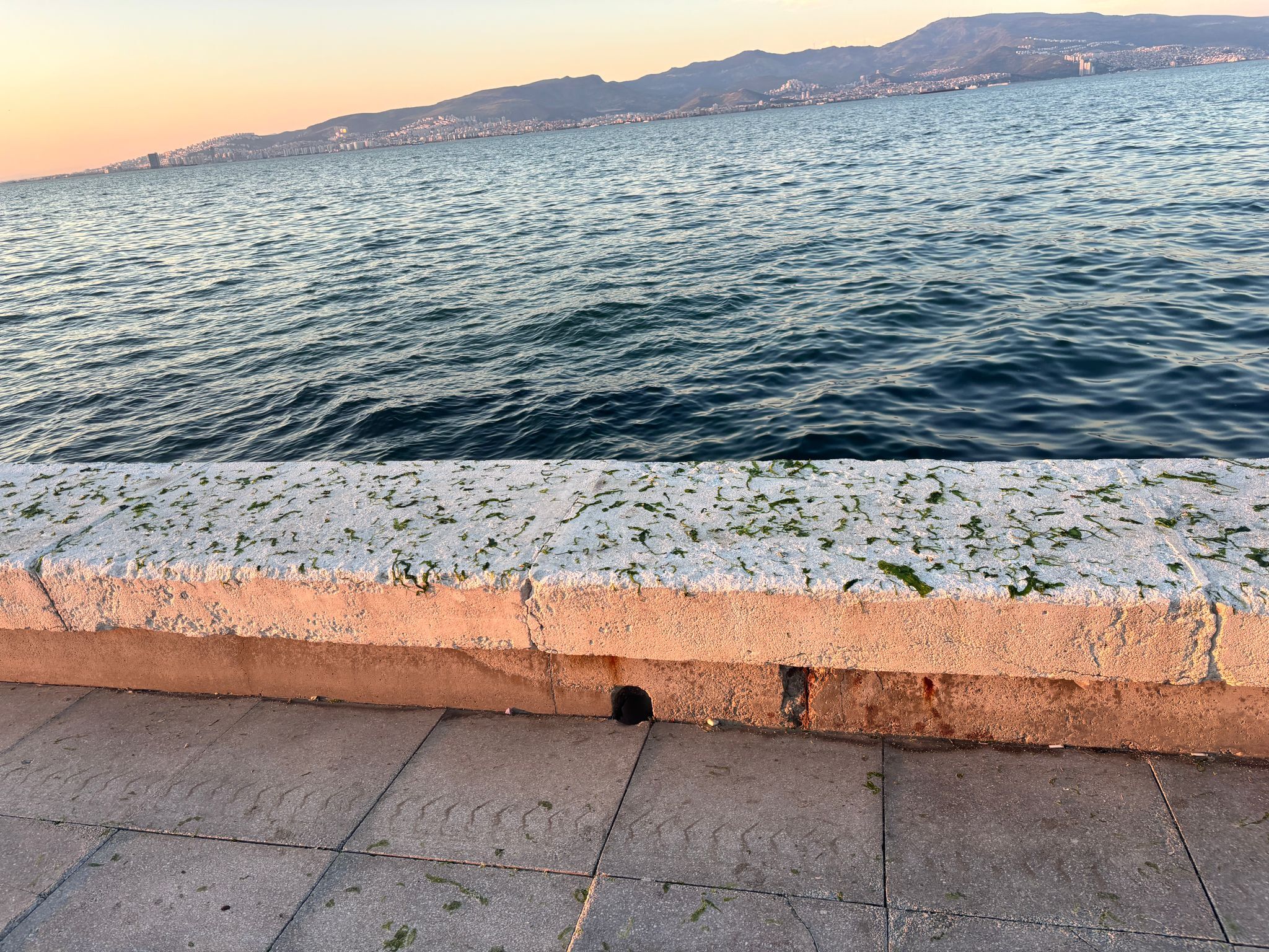 Şimdiden deniz yüzeyini kapladı