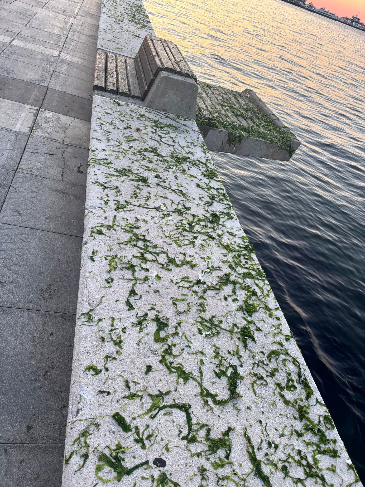 "Kalıcı bir çözüm bulunmalı"