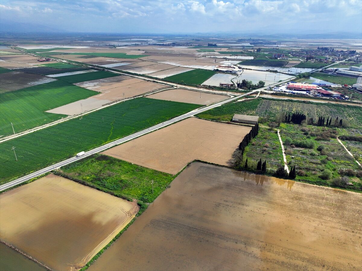 Küçük Menderes taştı: Üretim takvimi sekteye uğradı