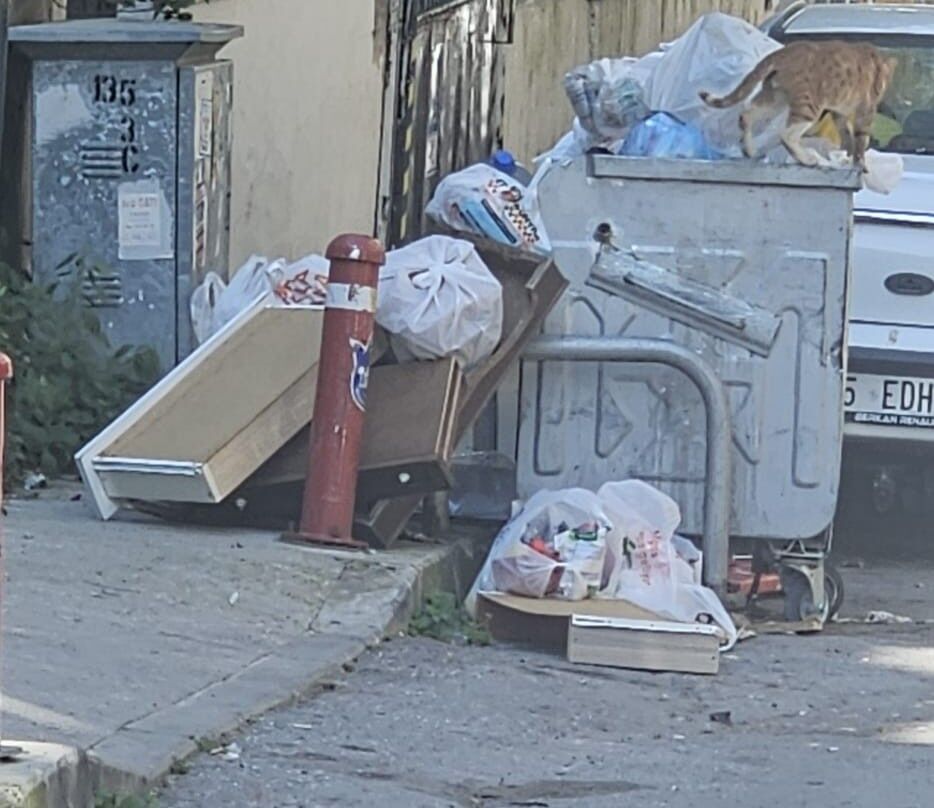 Whatsapp Image 2026 04 21 At 10.22.36