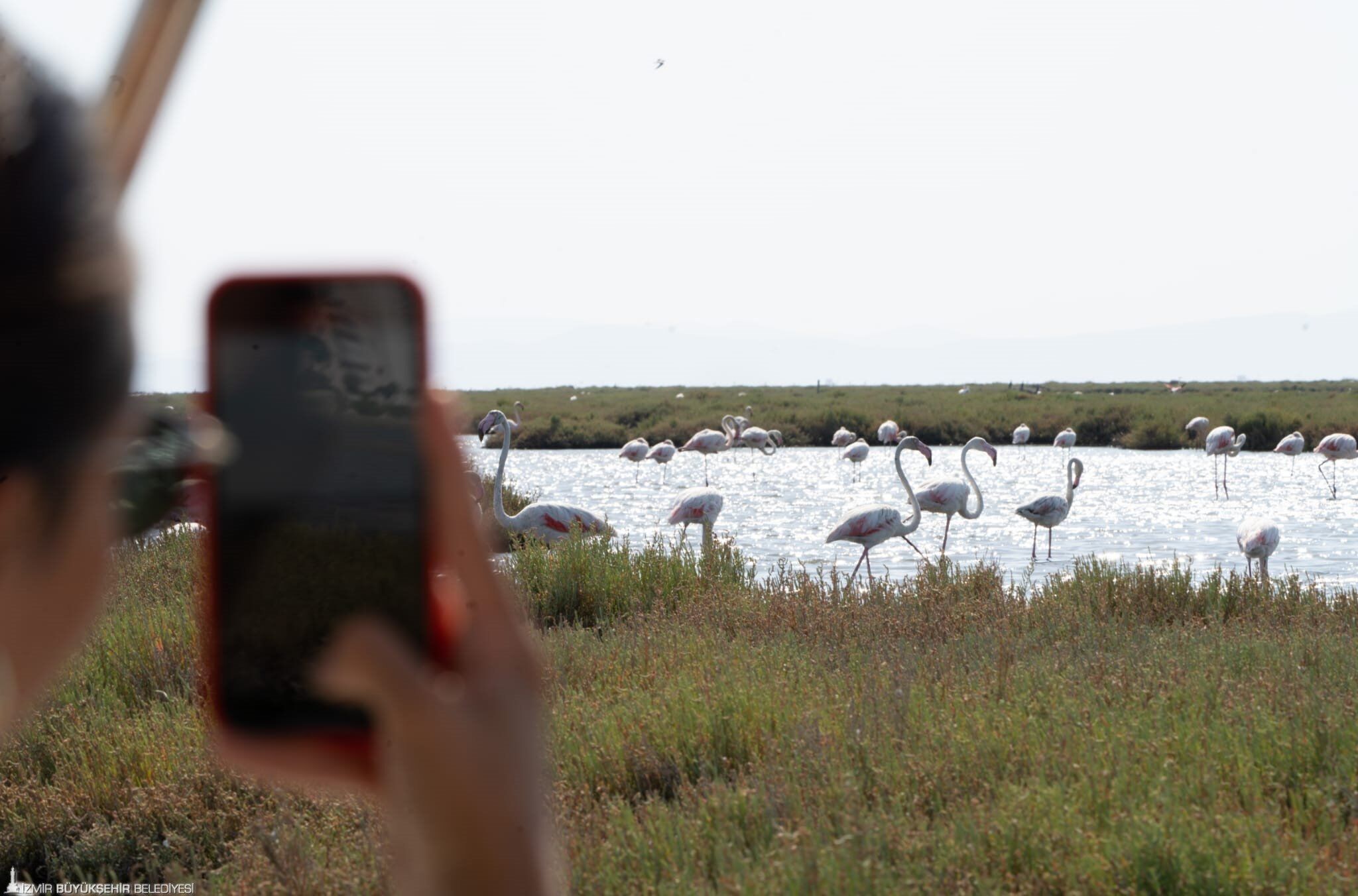 Flamingo Yolu Izmir 2