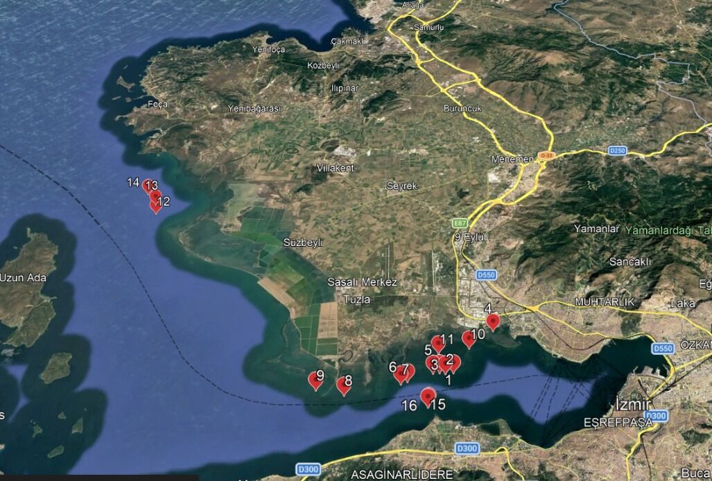 Kirliliğin kaynağı ise Gediz ve Ağıl Deresi