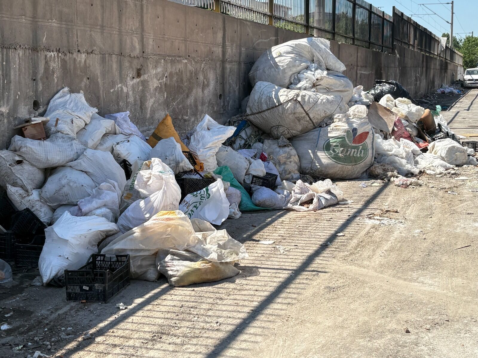 "Bugün bayram, bari bugün temizleselerdi"