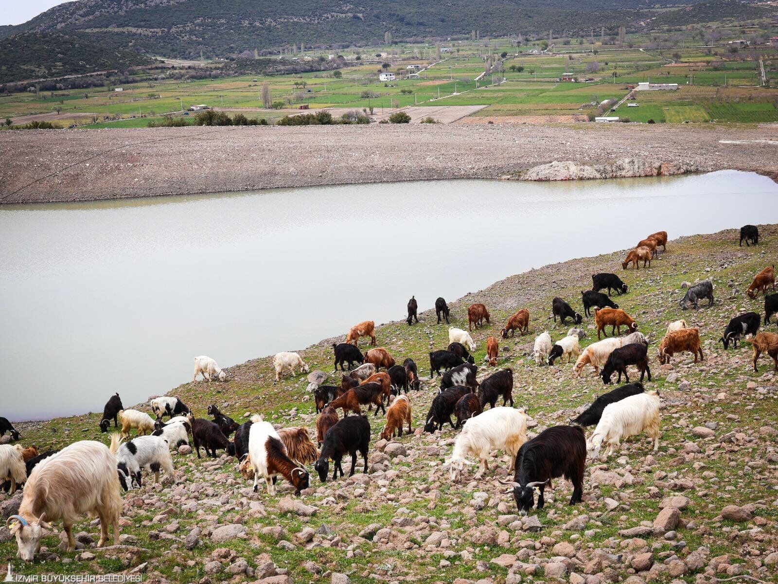 Izmir Gölet