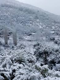 Izmir Kiraz-1
