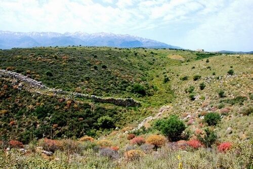 Izmir Makileri