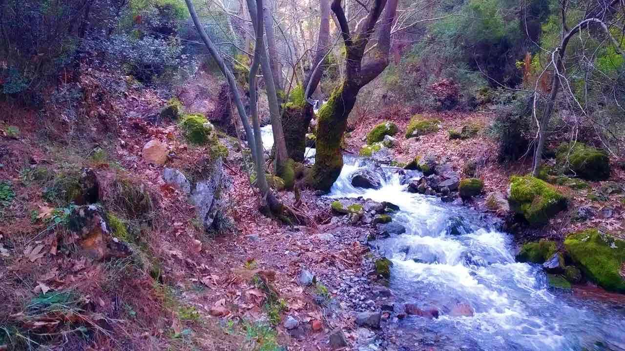 Izmir Yerustu Kaynaklari