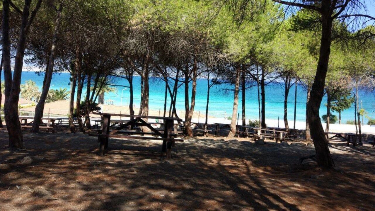İzmir’de hem deniz hem piknik keyfi: Çeşme’nin saklı kaçış noktası
