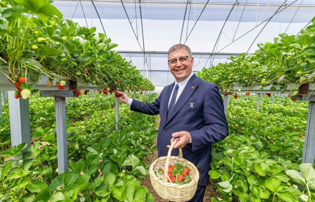 Güçlü kooperatif, güvenli gıda