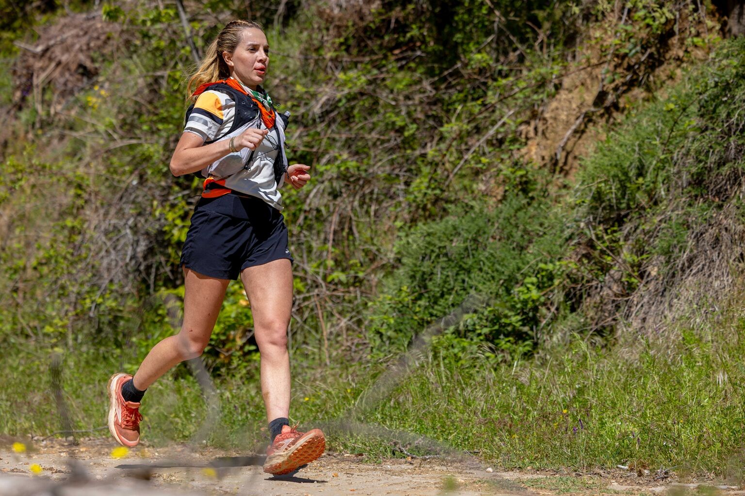 Ultra Trail 2