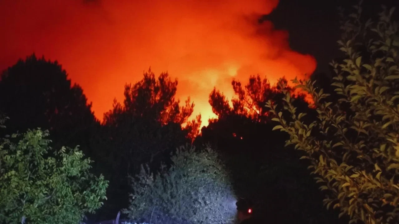 Yamanlar Dağı Yangın 1