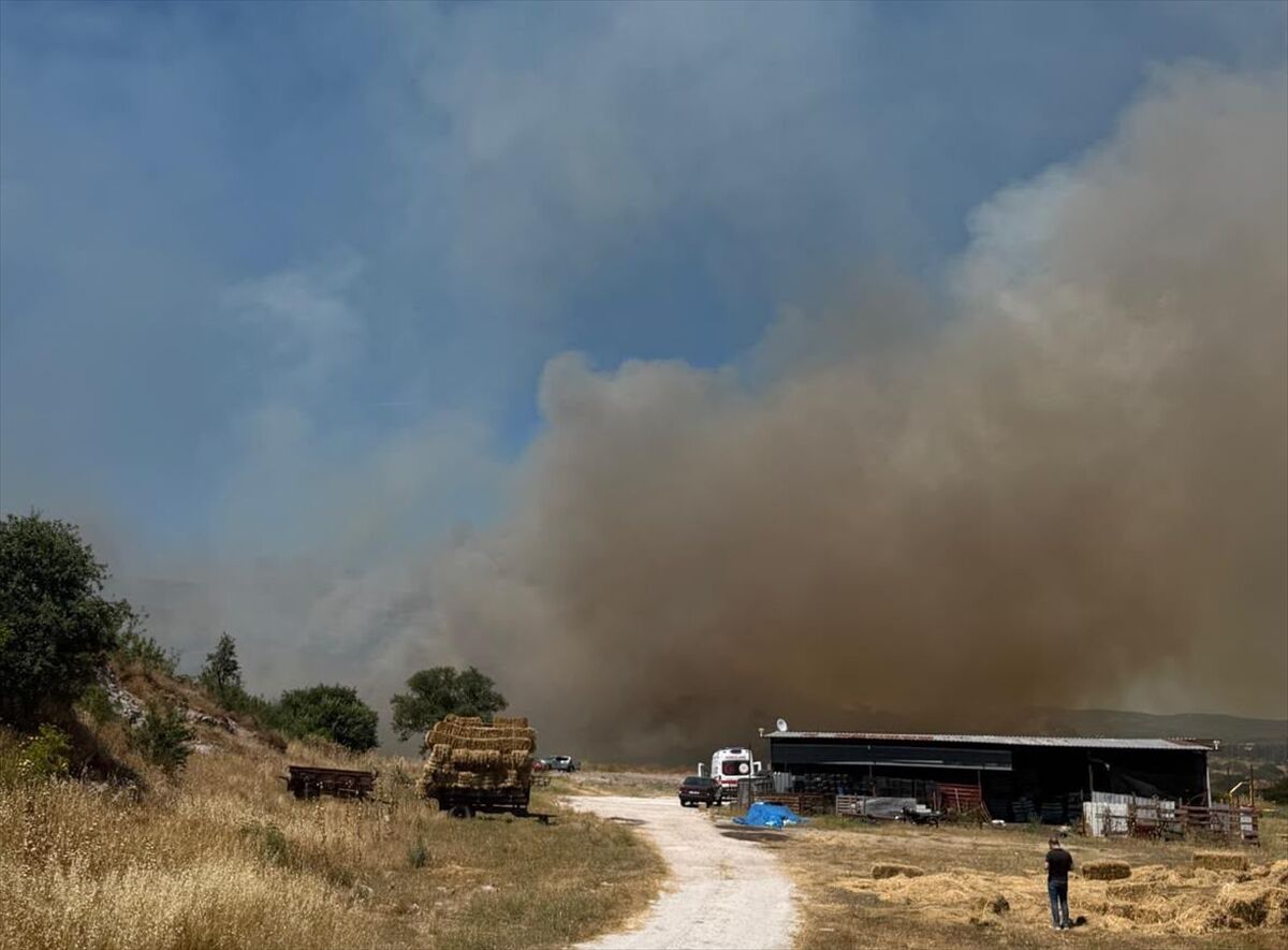 Çanakkale Ezine’de orman yangını: Ekipler havadan ve karadan müdahale ediyor