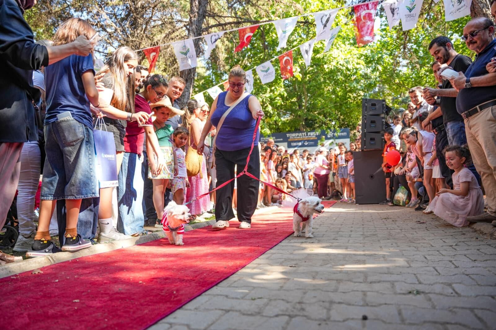 Torbalı’da patili festival: 32 can dostu yuva buldu, 100 dönümlük müjde geldi!-1