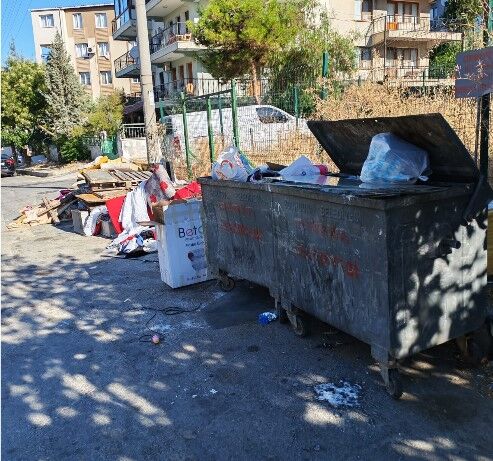 Bornova