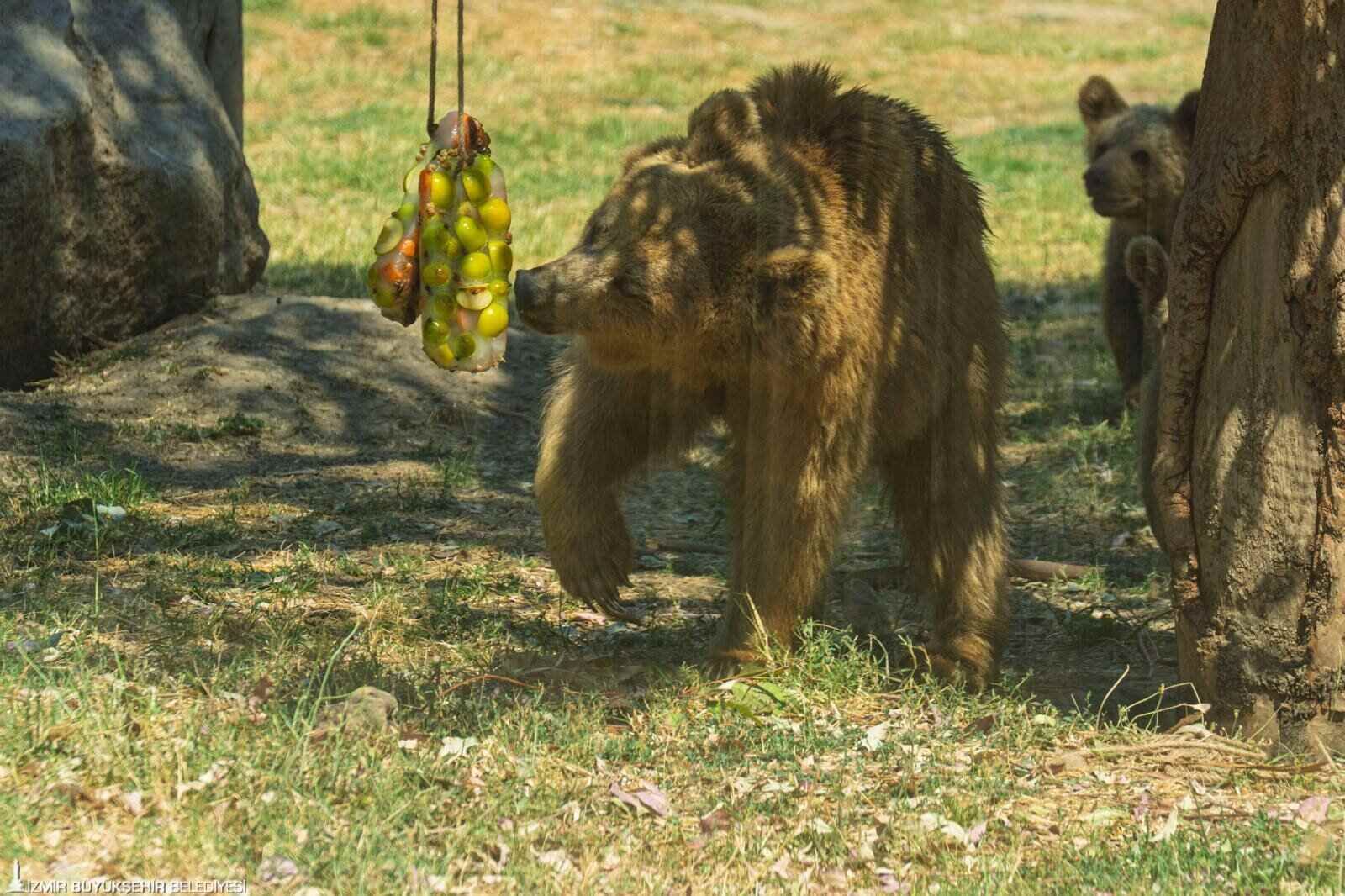 Izmir Doğal Yaşam Parkı Hayvanla