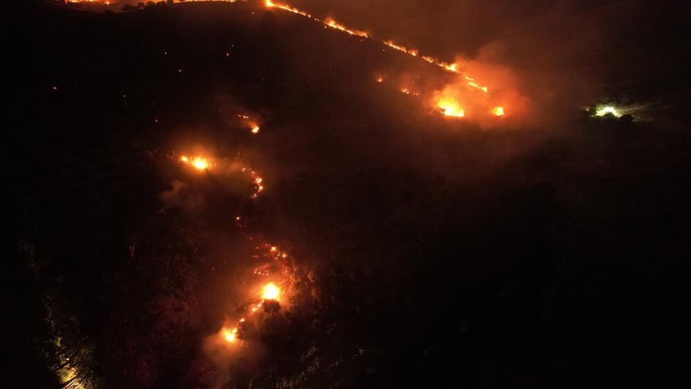 Kula'da Makilik Alanda Yangın