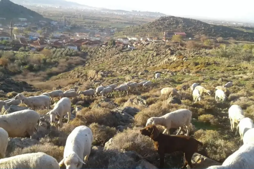 Menemen Doğaköy (1)