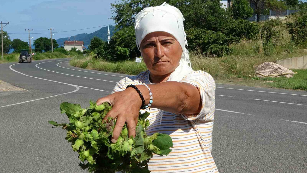 Ordu Findik1