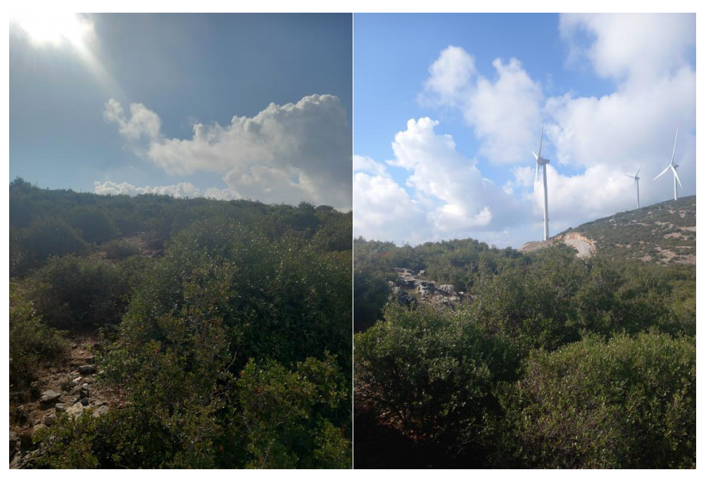 Selçuk Res Projesi (3)