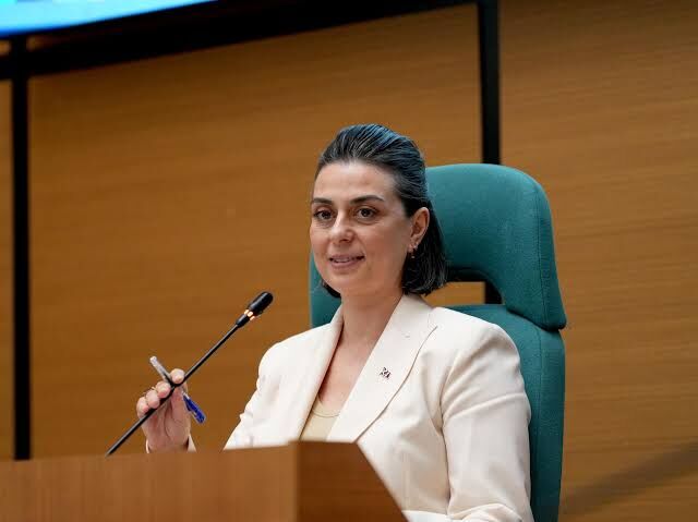 Sinem Dedetaş Tutuklama