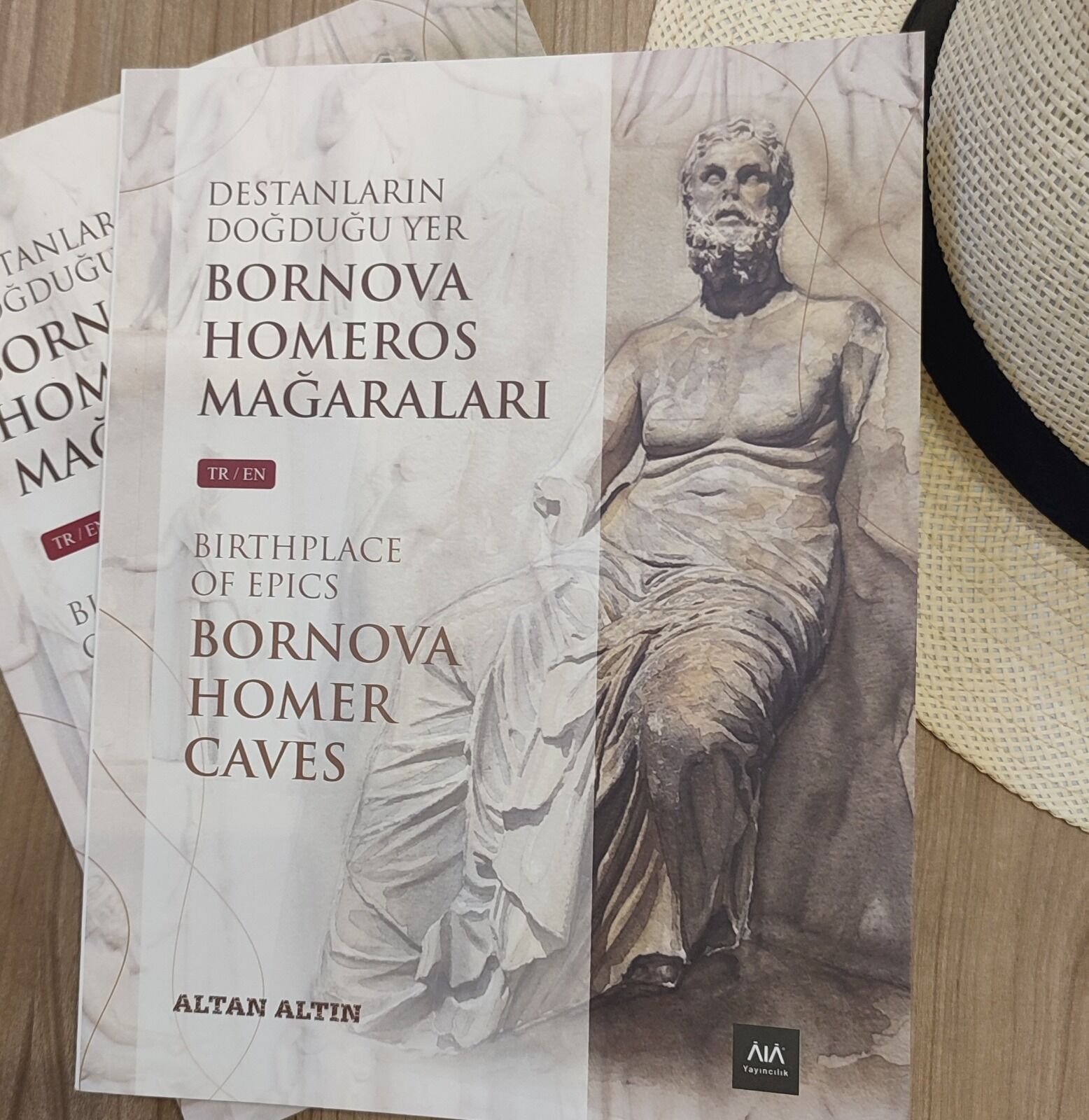 Altan Altın Homeros Kitap (3)
