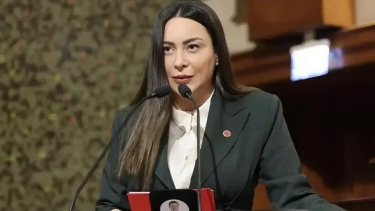 Hulya Simsek Kim