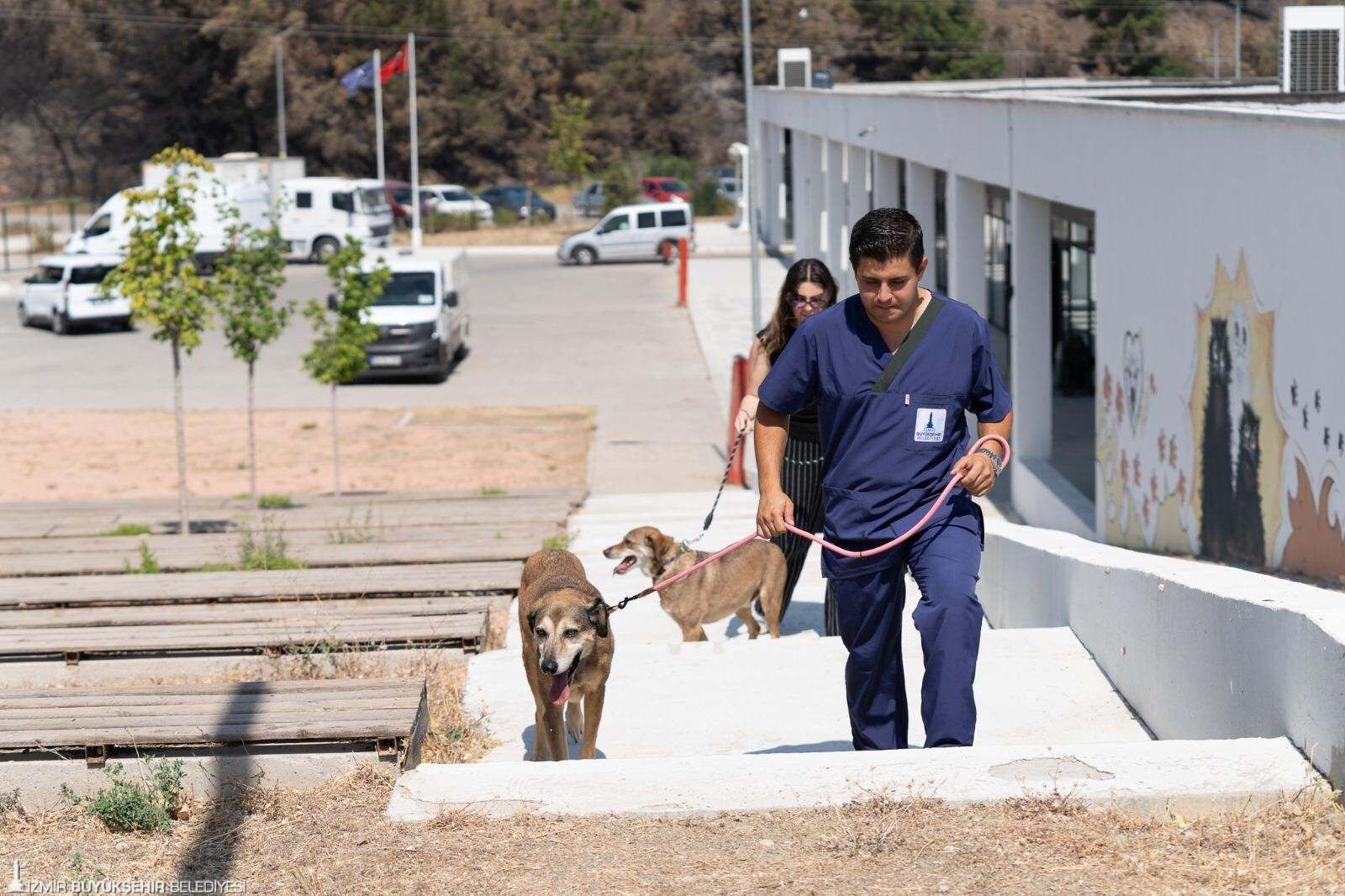 Izmir Pako 1