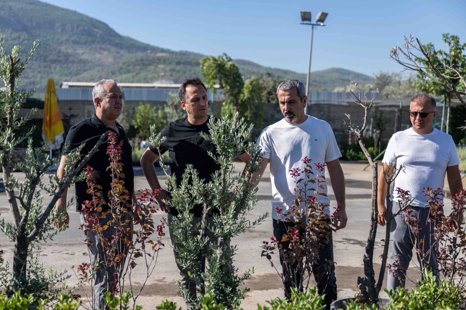 Kasım ayında dikim başlıyor
