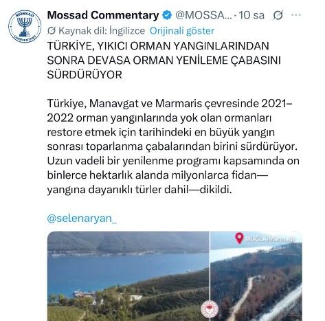 İsrail'den Türkiye'ye zeytin dalı