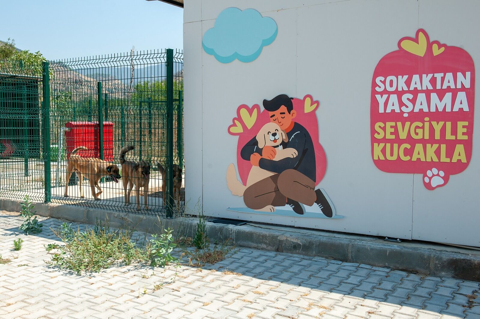 Sahiplenme süreci nasıl işliyor?
