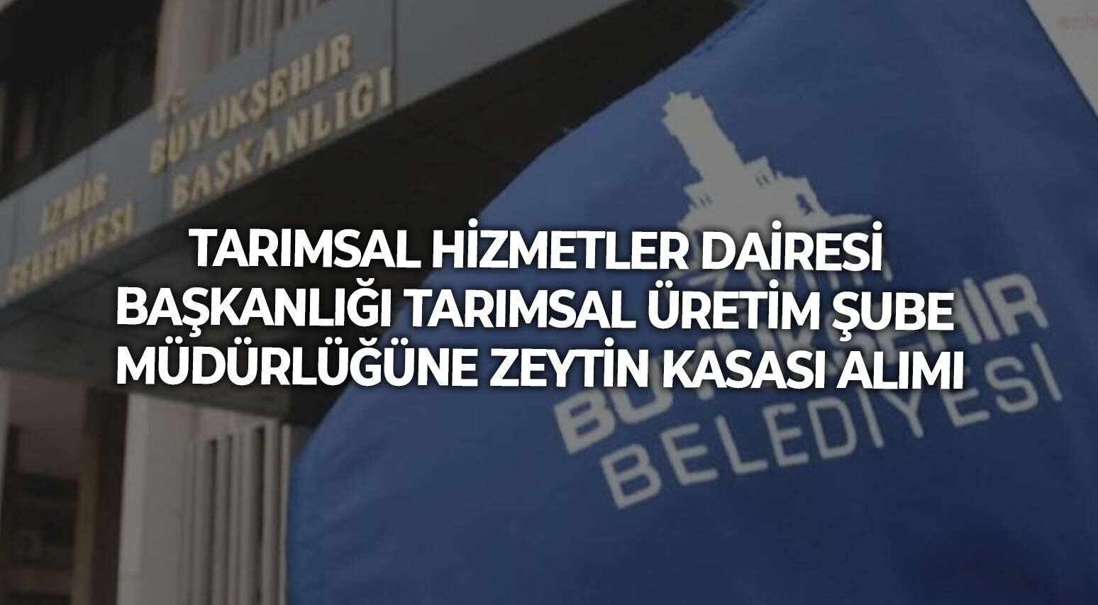 TARIMSAL HİZMETLER DAİRESİ BAŞKANLIĞI TARIMSAL ÜRETİM ŞUBE MÜDÜRLÜĞÜNE ZEYTİN KASASI ALIMI