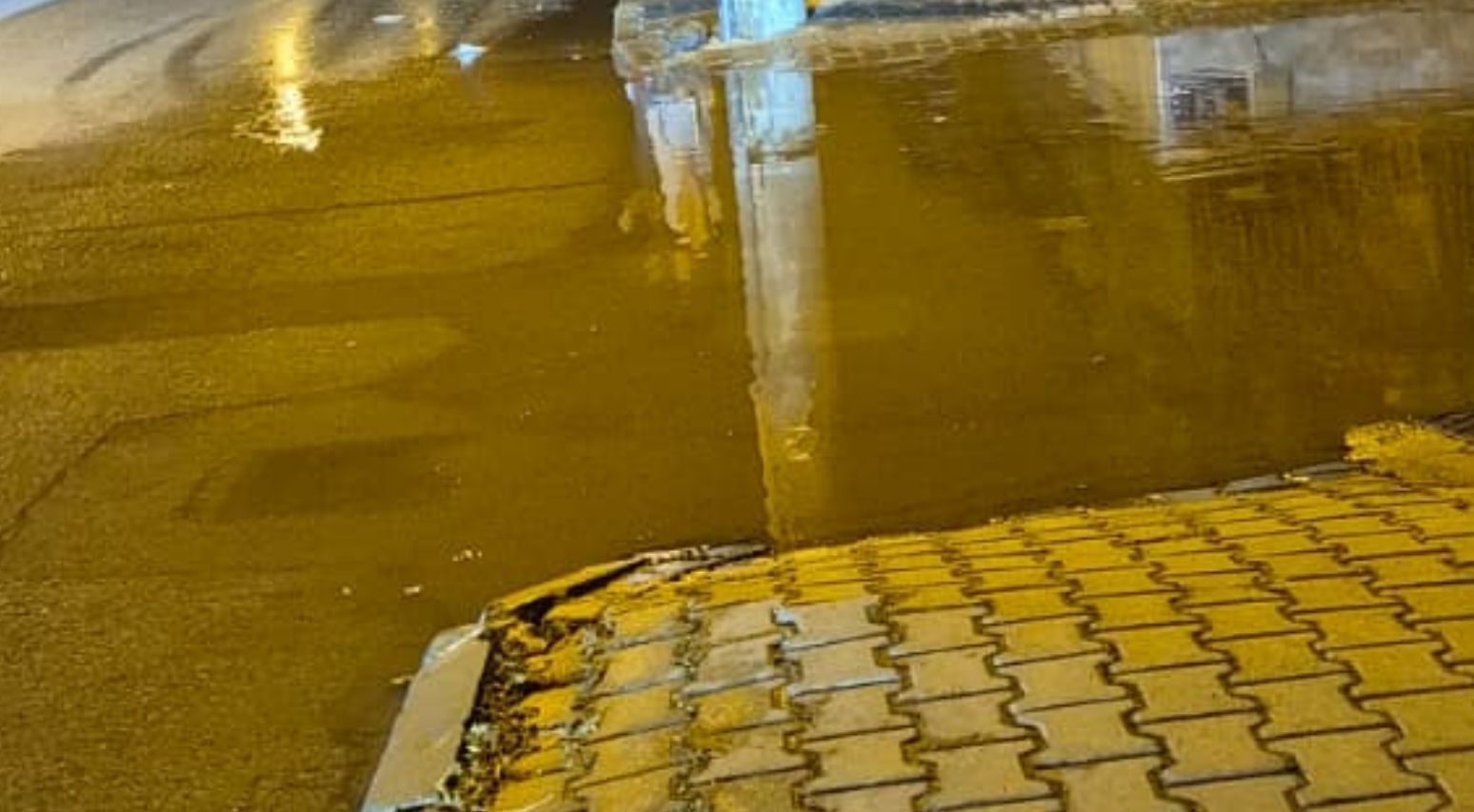Dikili Yol Göl 2