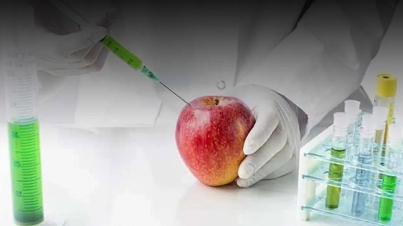 Gıdalar yeni dönem başlıyor: Domuz ve böcek kaynaklı aroma vericiler yasaklandı