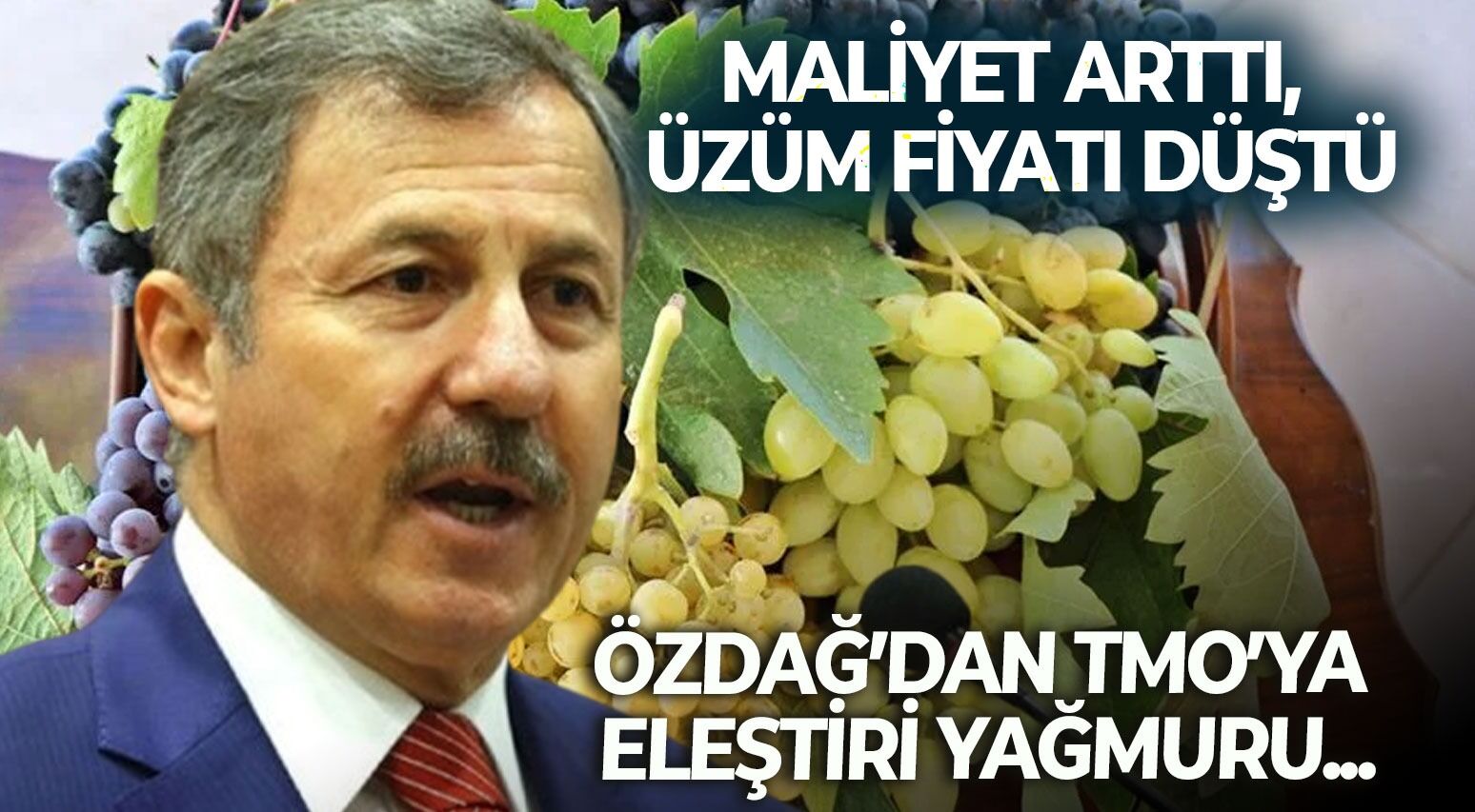 Maliyet arttı, üzüm fiyatı düştü: Özdağ’dan, TMO’ya eleştiri yağmuru...