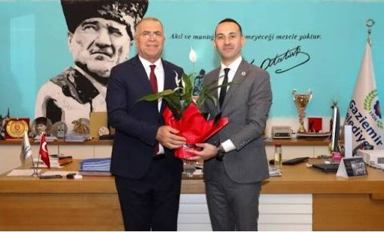 Işık ve Şırlancı