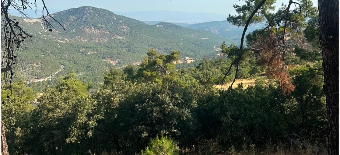 İzmir Manisa Enerji Hattı.3