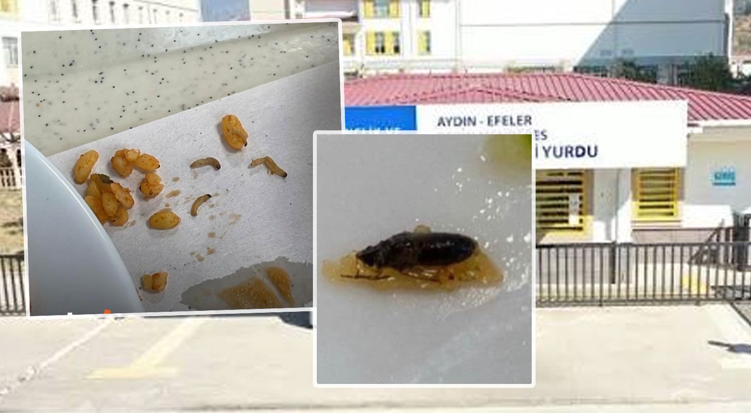 Öğrenci yurdunda mide bulandıran görüntü: Yemeklerin içinden çıkmayan kalmadı!
