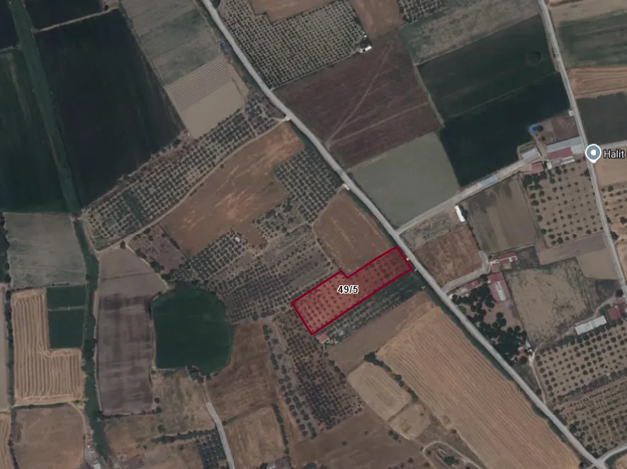 Tire'de şahıs arazisinden çıkan Bizans buluntuları sonrası sit kararı!