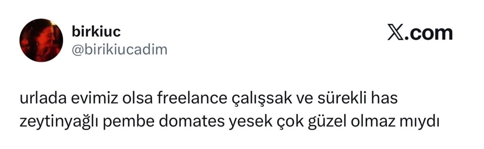 Urla'da Internet Çilesi Tek Eksik Fiber! (1)
