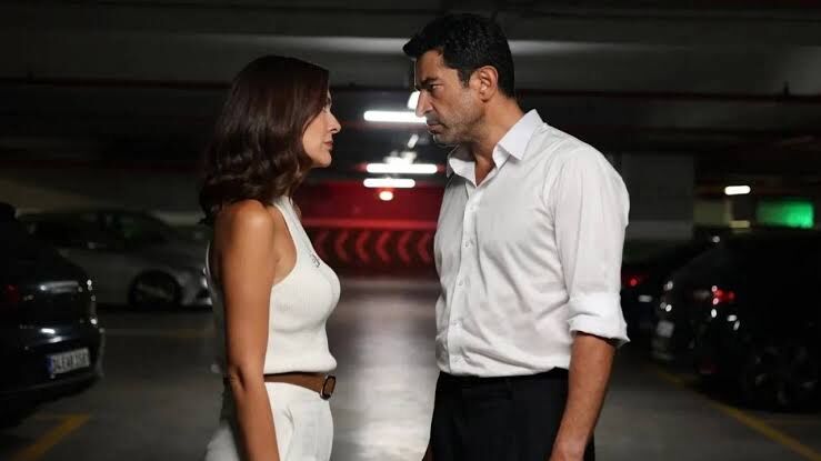 Dizi Abi