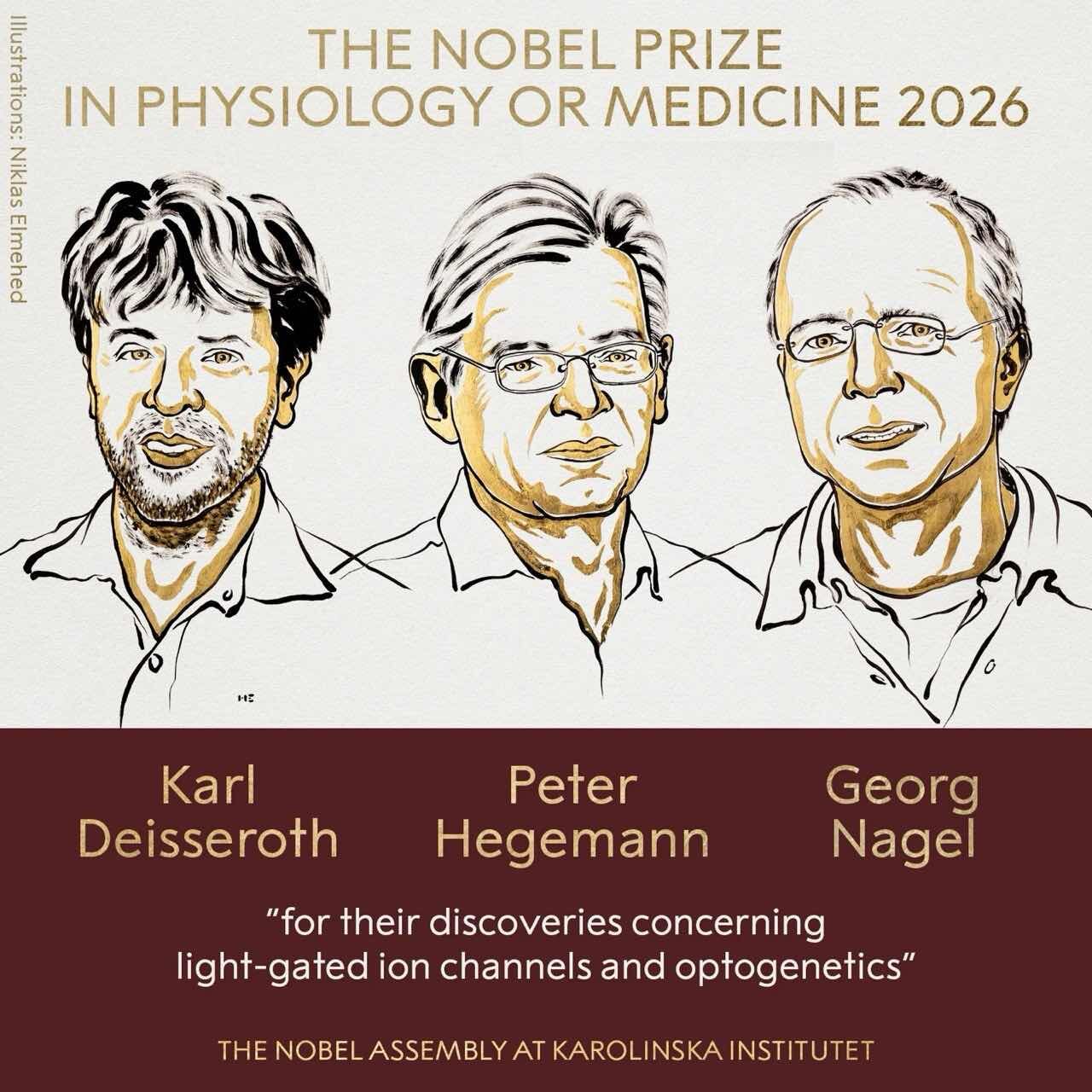 Georg Nagel Kim