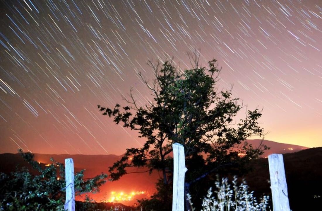 Orionid Meteor