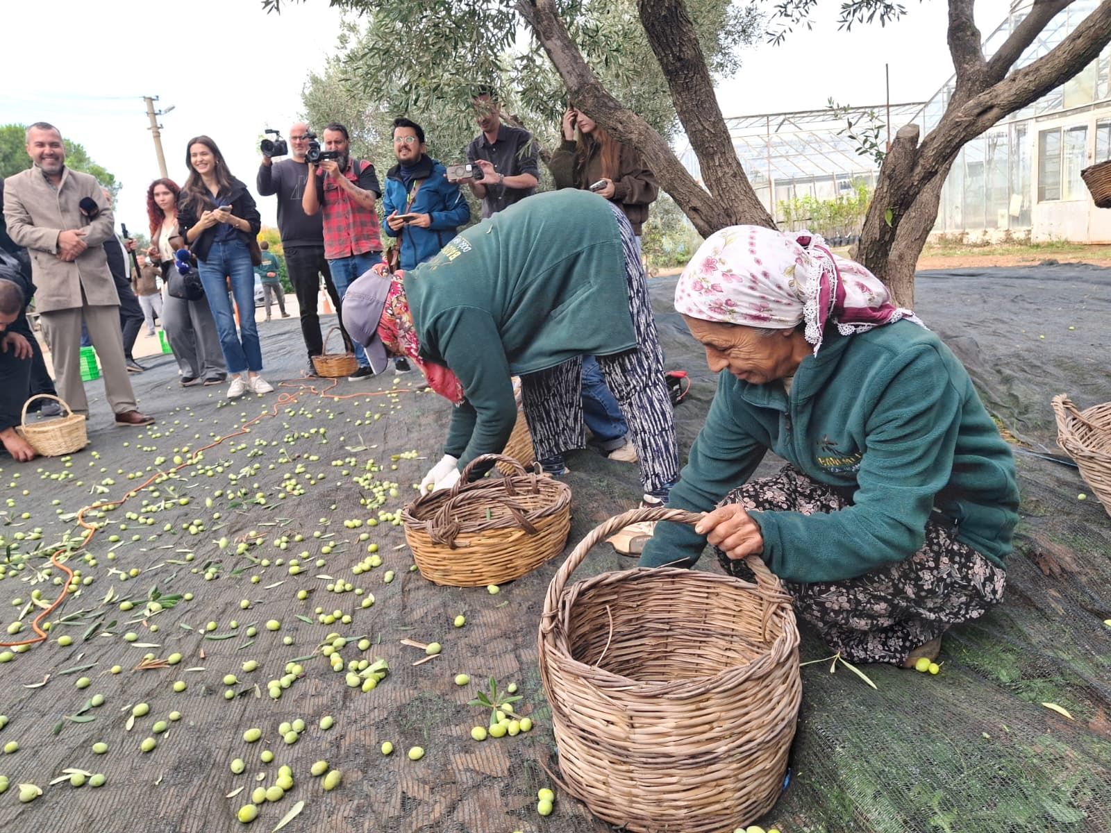 Urla Zeyti̇n Festi̇vali̇ 4