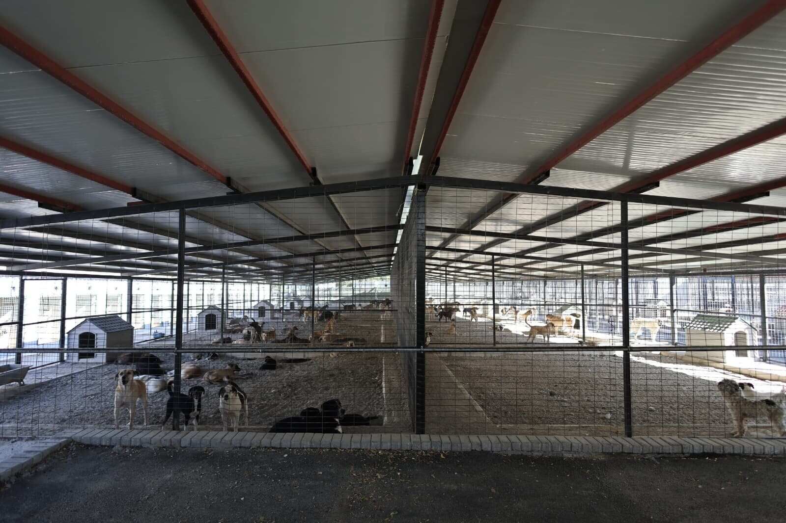 Uzundere Hayvan Bakımevive Yeni 1